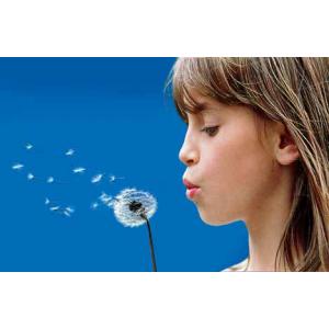 Childrens Hayfever