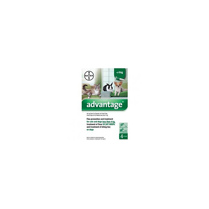Advantage 40mg Flea/lice Spot
