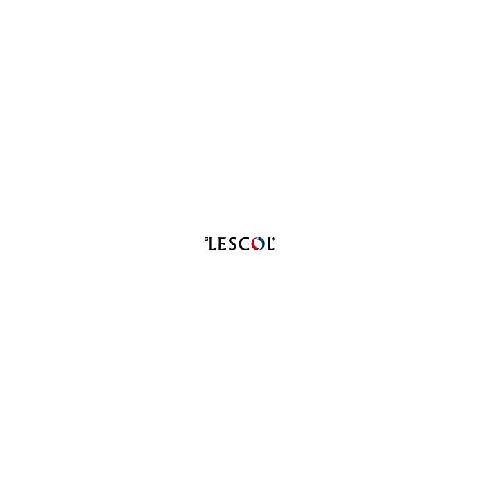 Lescol (Fluvastatin) 40mg x 28