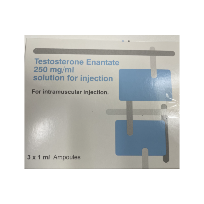 TESTOSTERONE ENAN 1ML 250MG (TESTOSTERONE)