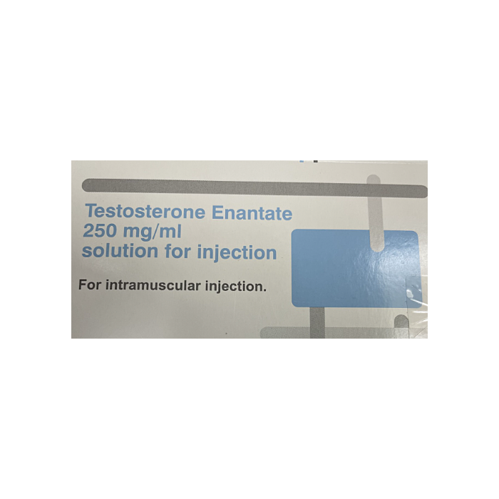 TESTOSTERONE ENAN 1ML 250MG (TESTOSTERONE)