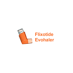 Flixotide 125mcg evohaler